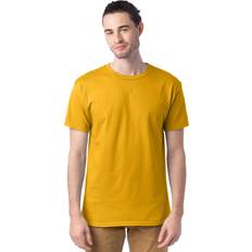 Hanes T-shirts Hanes Herrskjorta, Guld 4-pack