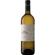 Vinos Blancos José Pariente Verdejo D.O Rueda 75cl