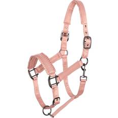 Nylon Imbracature per cavalli Imperial Riding Halfter IRHLovely Classic Nylonhalfter Rosy