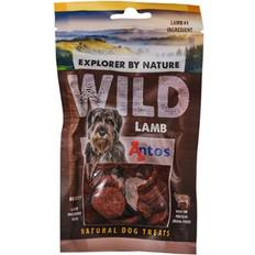 Explorer Wild Snacks Lamb 80g 12-Pack
