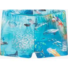 Babies Swim Shorts Molo Baby Boys Blue Ocean Swim Shorts Upf50 Blue 18-24 month