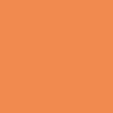 Paint Dulux Trade Vinyl Tangerine Twist Wall Paint