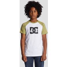 DC Star Raglan T-Shirt sage