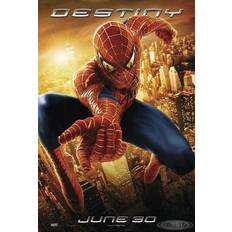 Detalles Interiores Close Up Spider-Man 2 Poster Destiny Póster