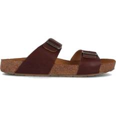 Haflinger Bio Andrea - Country Brown