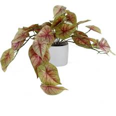 Leaf 30Cm Caladium Potted Trailing Artificial Plant