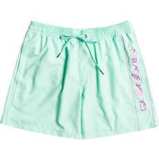 Silbrig Bademode Quiksilver Boy's Kids Everyday Vert 14" Swimming Boardshorts Beach Glass years beach glass