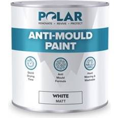 Polar Polar Anti-mould Paint White