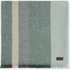 Ted Baker Accessoires Ted Baker Alfredy Striped Woven Scarf - Dark Green