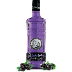 Puerto de Indias Blackberry Gin 37.5% 70cl