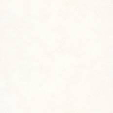 Caselio Patine Uni Beige Clair PAI100221256