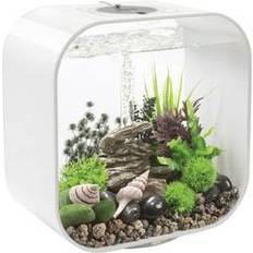 Biorb Decor Set Rock Valley