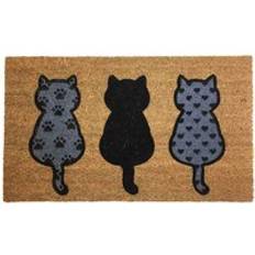 Wellingborough Mat Kittens