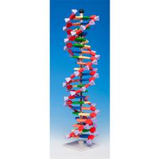 Molymod DNA-060-22 MiniDNA Advanced 22 Layer Molecular Model Kit...