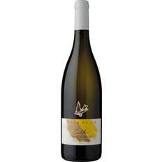 Weine Elena Walch Cardellino Chardonnay