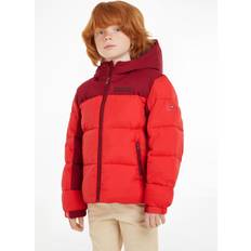 Tommy Hilfiger Kids' New York Colour Block Logo Padded Hooded Jacket, Fireworks