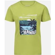 Regatta Bosley VI Hawaii T-shirt - Groen