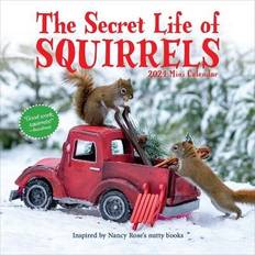 Røde Kalendere Workman Publishing The Secret Life of Squirrels Mini Calendar 2024 Nutty