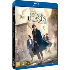 Fantastiska vidunder och var man hittar dem Blu-ray