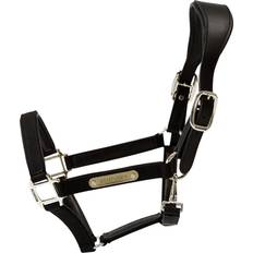 Kentucky Equestrian Kentucky Anatomic Nylon Halter - DB/AB