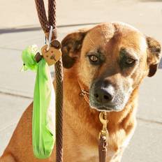 Dog Light DIG29-EU