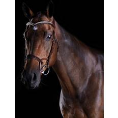 Brown Riding Helmets Collegiate Brown, Cob Comfitec Patent Bridle