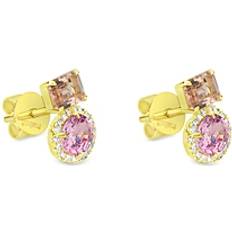 Meira T 14K Yellow Gold Pink Sapphire & Morganite Stud Earrings