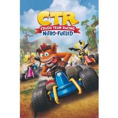 GB Eye Poster Crash Team Racing Cover 61 x 91.5 cm