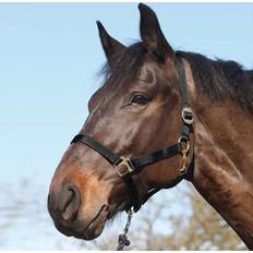 Cabezadas y Riendas ELDORADO Cabezada Cuadra de nylon HorseGuard Noir