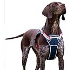 Joules Rosewood Joules Hundegeschirr, reflektierend, Regenbogenfarben