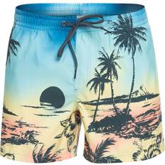 Herre - Sølv Badetøj Quiksilver Everyday Paradise 15" Badeshorts Herre Blå