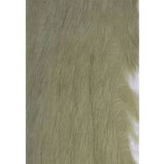 KANINZONKER OLIVE