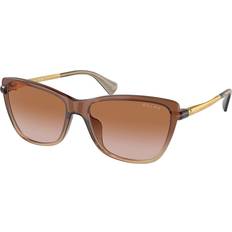 Polo Ralph Lauren Solbriller - Transparent Glossy Brown