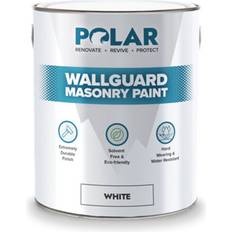 Paint Polar Polar Masonry Wall Paint White 5L