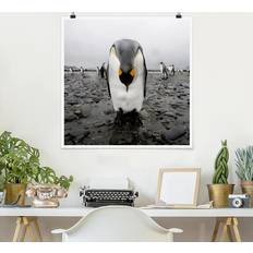 Pinguino Poster