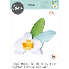 Sizzix Thinlits Die Set 6PK Orchid by Jennifer Ogborn 665894 Chapter 2 2022, Multicolor, One