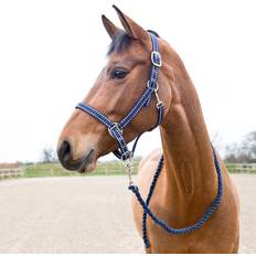 Cooper Halter and Lead Set Peacoat Dark Blue unisex