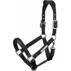 LeMieux Capella Headcollar, Black Cob Black