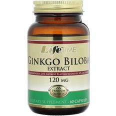 Vitamins & Supplements Ginkgo Biloba Standardized Extract 60 pcs