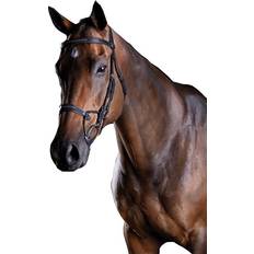 Full Bridles Collegiate ComFiTec Fancy Stitch Bridle