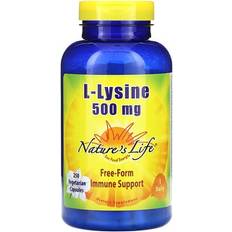 Nature's Life L-Lysine, 500 mg, 250