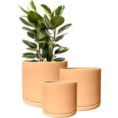 Design Living Terracotta Set 3 With Saucers Orange