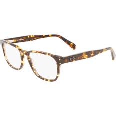 Salvatore SF 2924 281 51 Sköldpaddemönstradeshell Glasögon