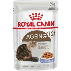 Royal Canin Ageing 12+ In Jelly Senior Wet Cat