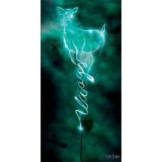 Harry Potter Doe Always Patronus Canvas Print