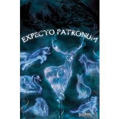 Harry Potter Expecto Patronus Poster