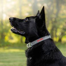 Siccaro Hundehalsbånd & -Seler Kæledyr Siccaro Sealines Halsbånd Silver