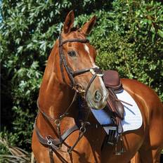 Equestrian Collegiate 2022 Comfitec Grackle Bridle Brown