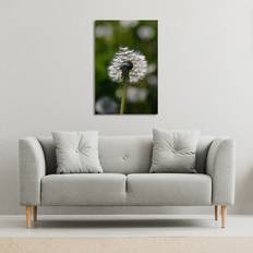 fluffy flower Canvas Print