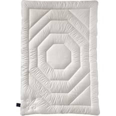 Decken Billerbeck decke exclusiv faser concerto Filz Beige